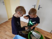 Robimy leguminę z jabłek